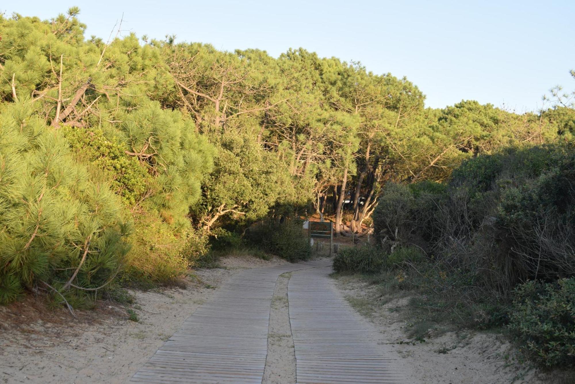 Evasion Cotiere Tranquillite Entre Foret Et Ocean Vielle-Saint-Girons Exteriör bild